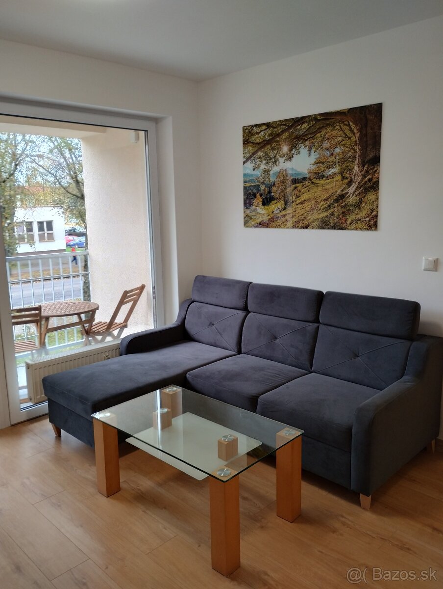 Prenájom 2-izbovy byt s park. miestom - 6