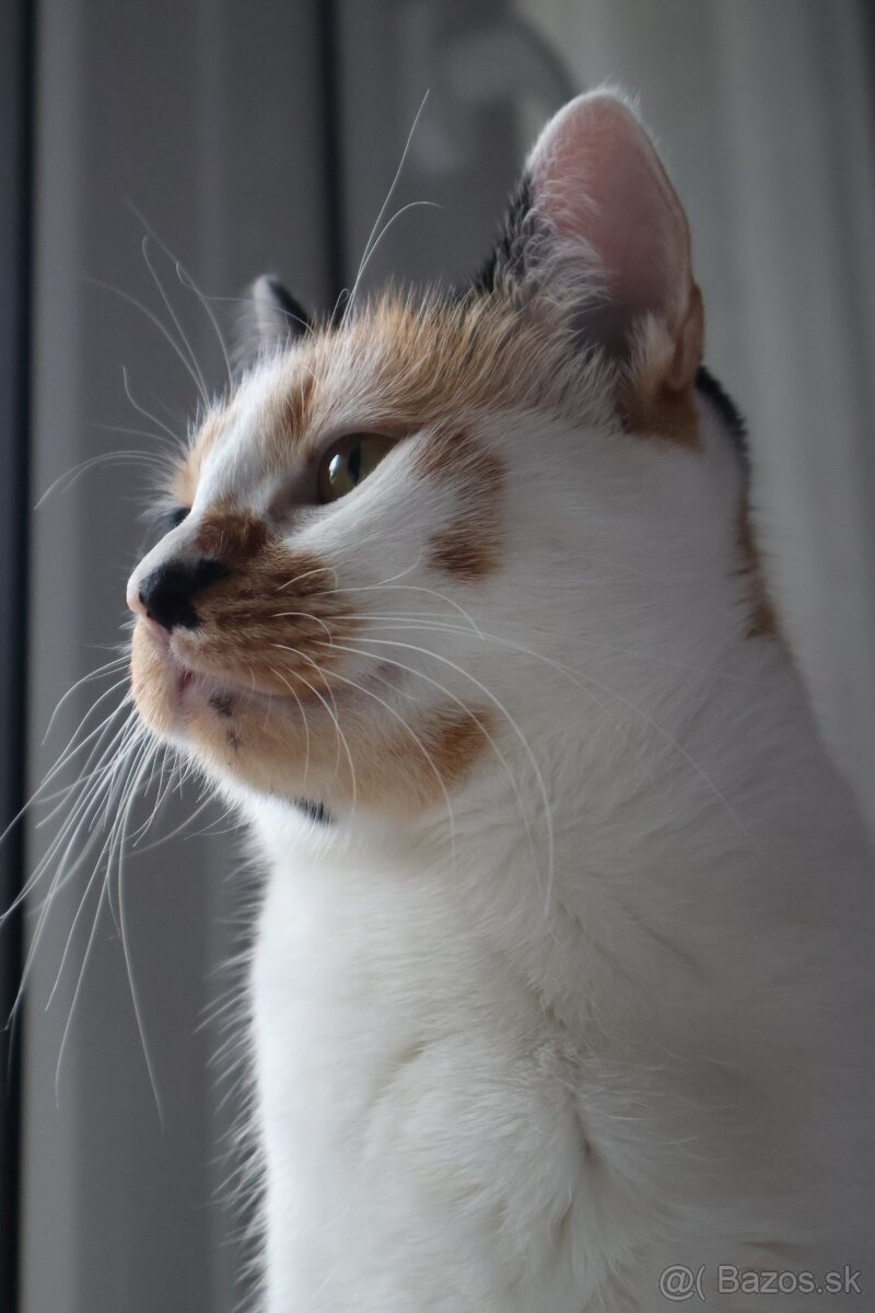 Len do dobrých rúk - 6