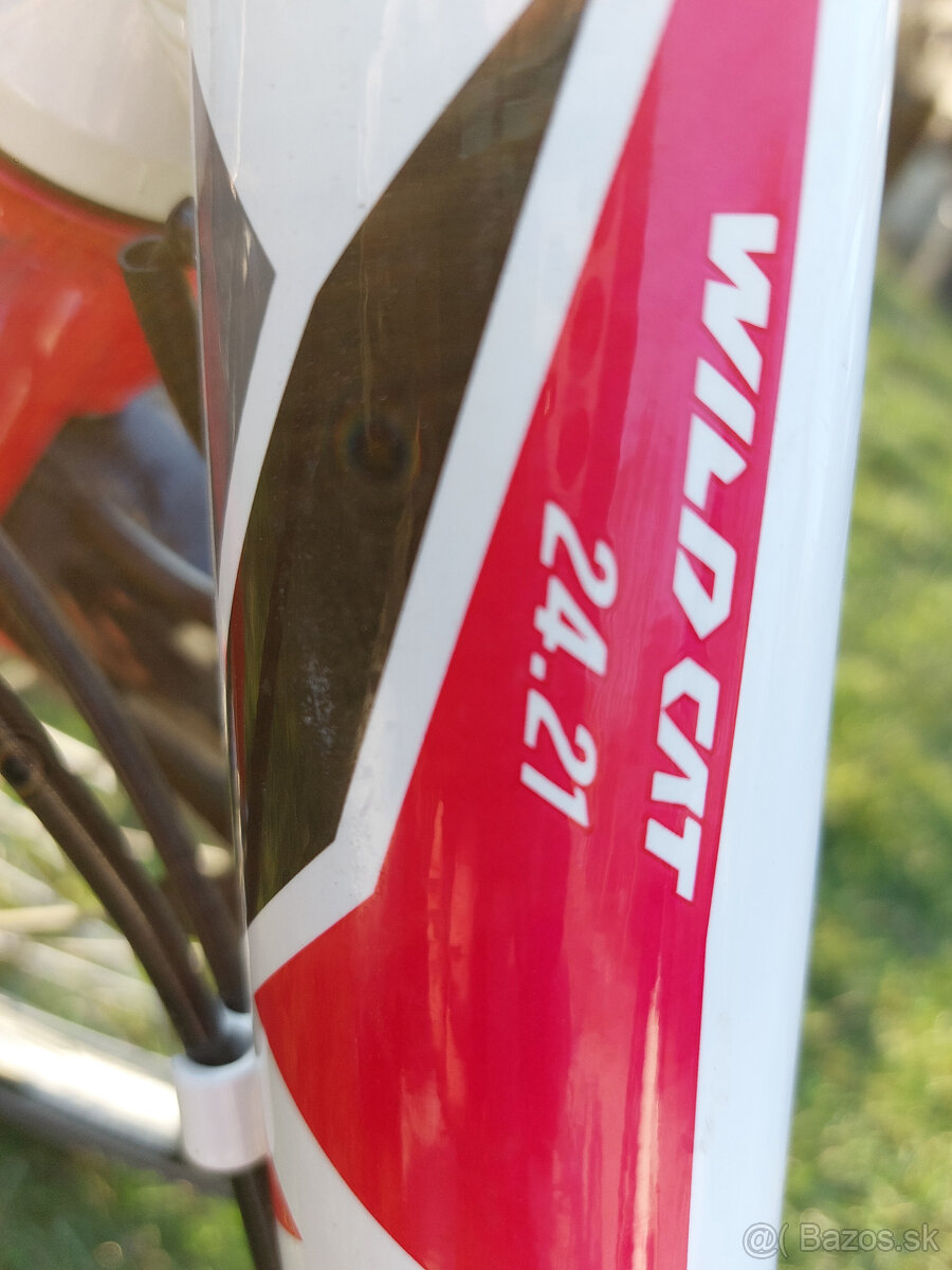Detský bicykel KTM Wild cat 24 - 6
