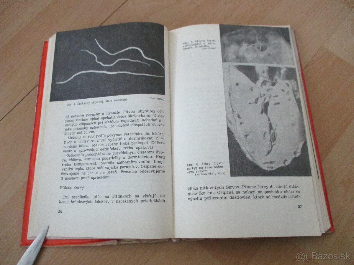 Domáca zakáľačka, - 6