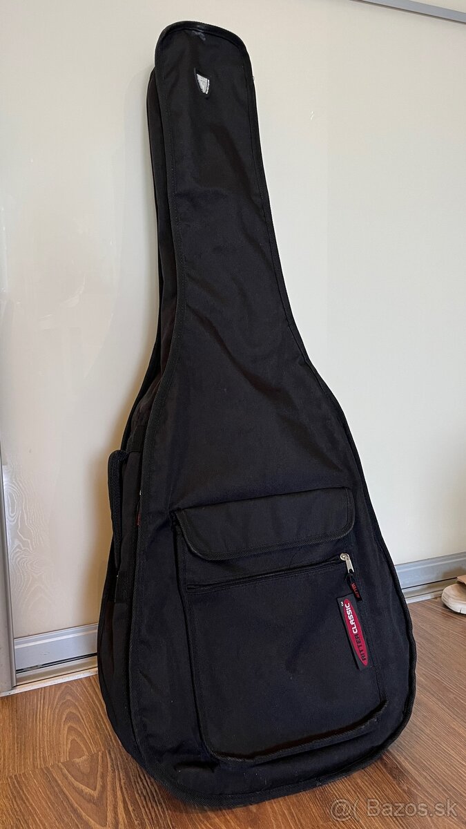 Elektroakustická gitara IBANEZ - 6