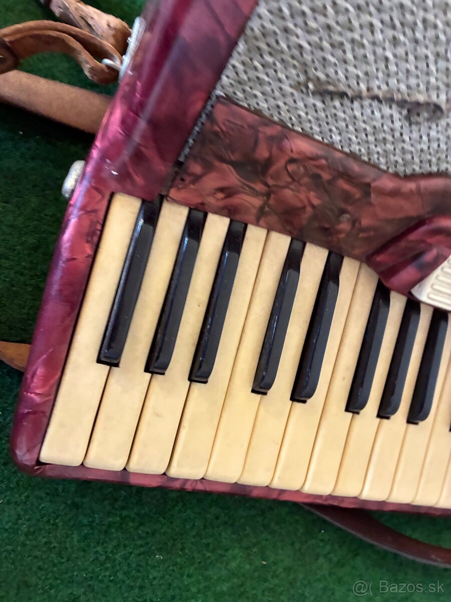 Harmonika Hugo Rauner - 6