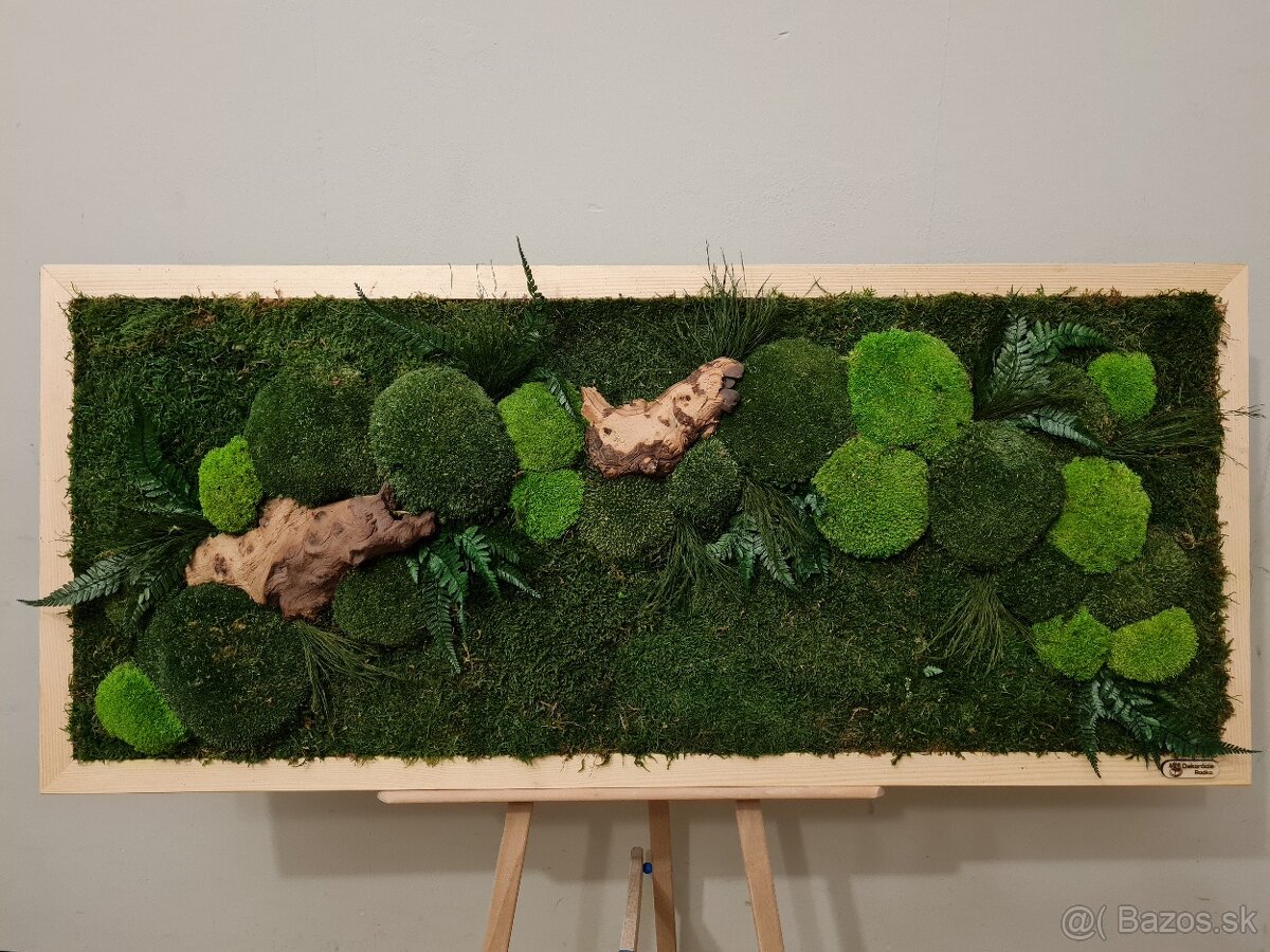 Machový obraz rastliny - 6