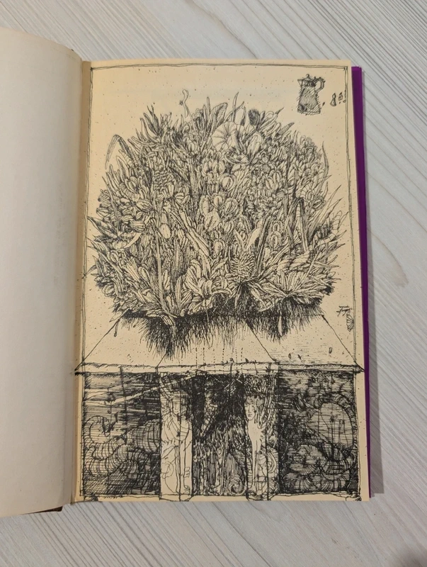 "Králi noci" - Caragiale Mateiu I. - Kniha s obrázkami - 6