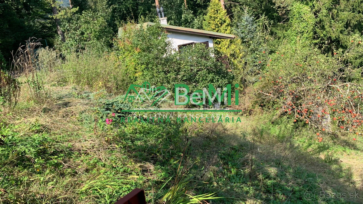 Výhodná ponuka, záhrada 320 m2, Riečka, Banská Bystrica - 6