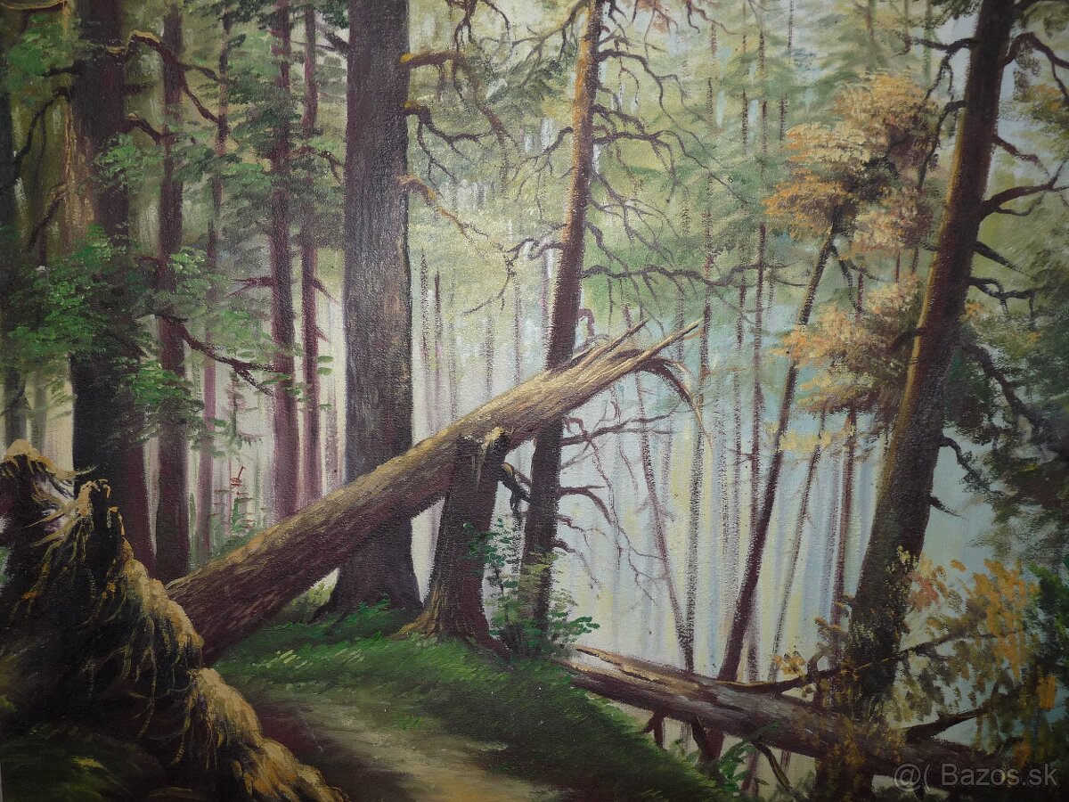 Starožitne obrazy a iné - 6