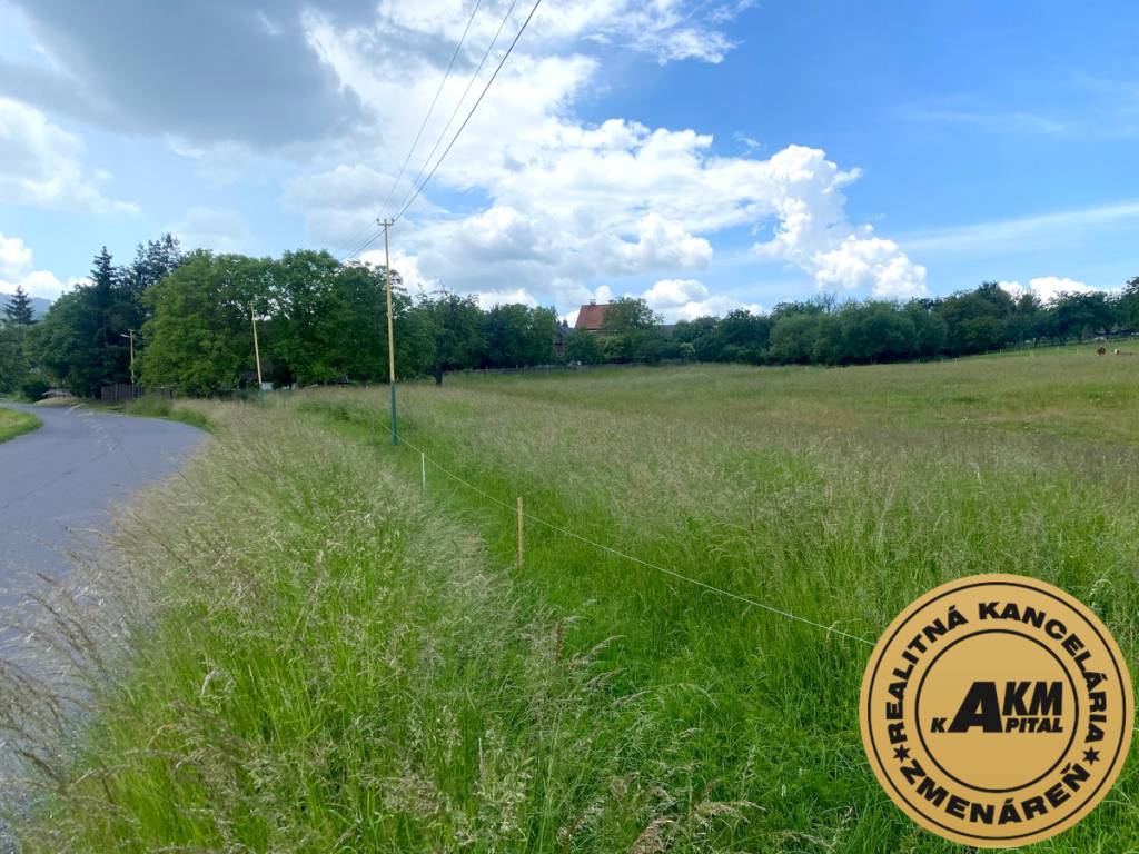 Pozemok na predaj, 13 237 m2 Slatinské Lazy, okres Detva - 6