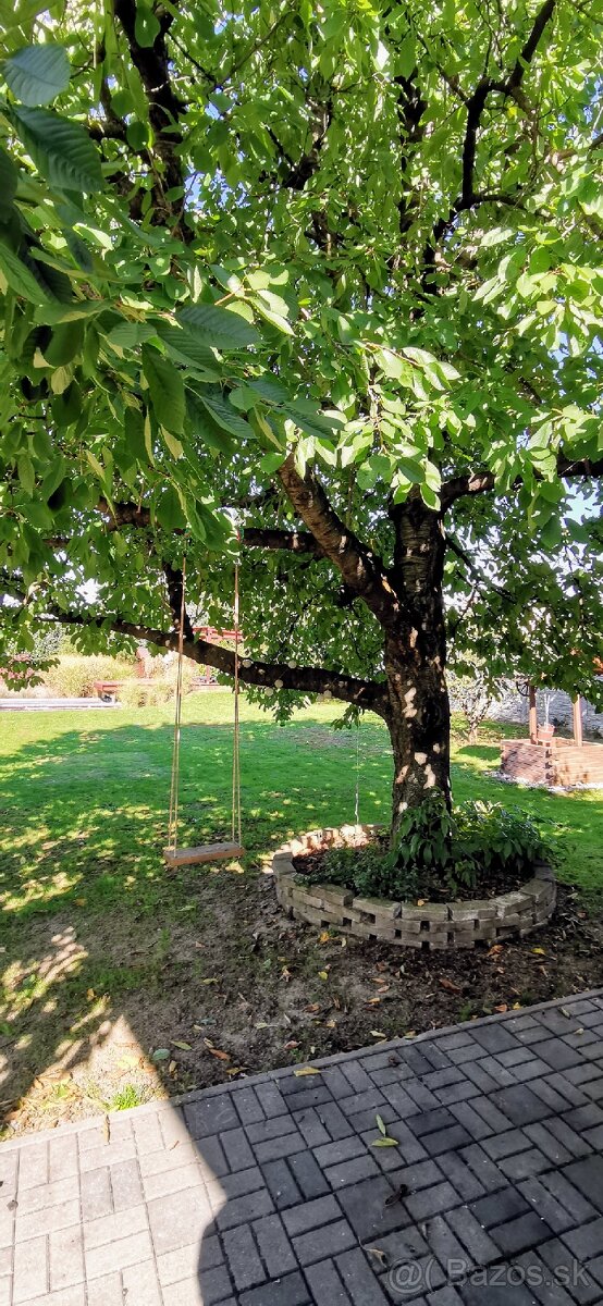 Výnimočná ponúka domu v ZM - 6