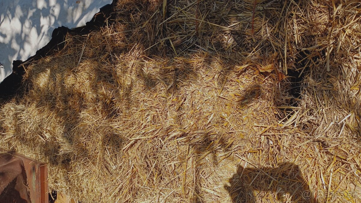Predám malé balíky slamy a sena - 6
