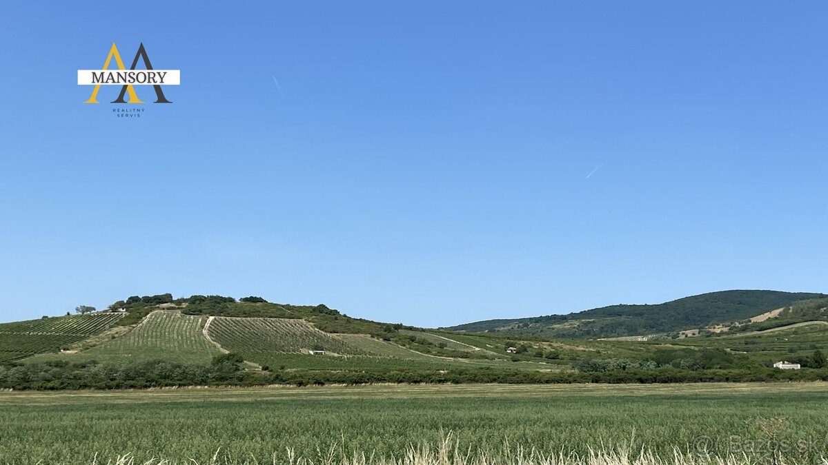 Na predaj vínny dom s vinicami a vínnymi pivnicami 13974 m2 - 6