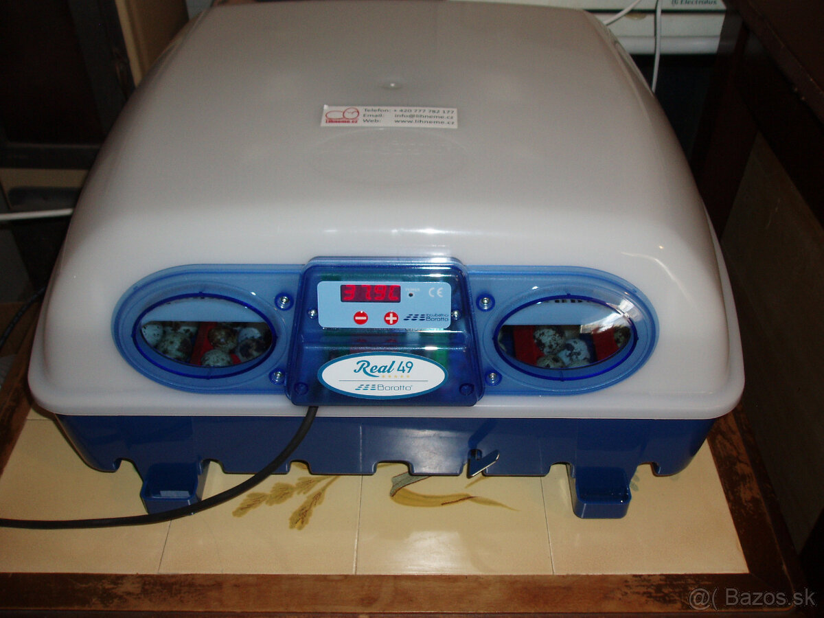 Prepeličie vajíčka - 6