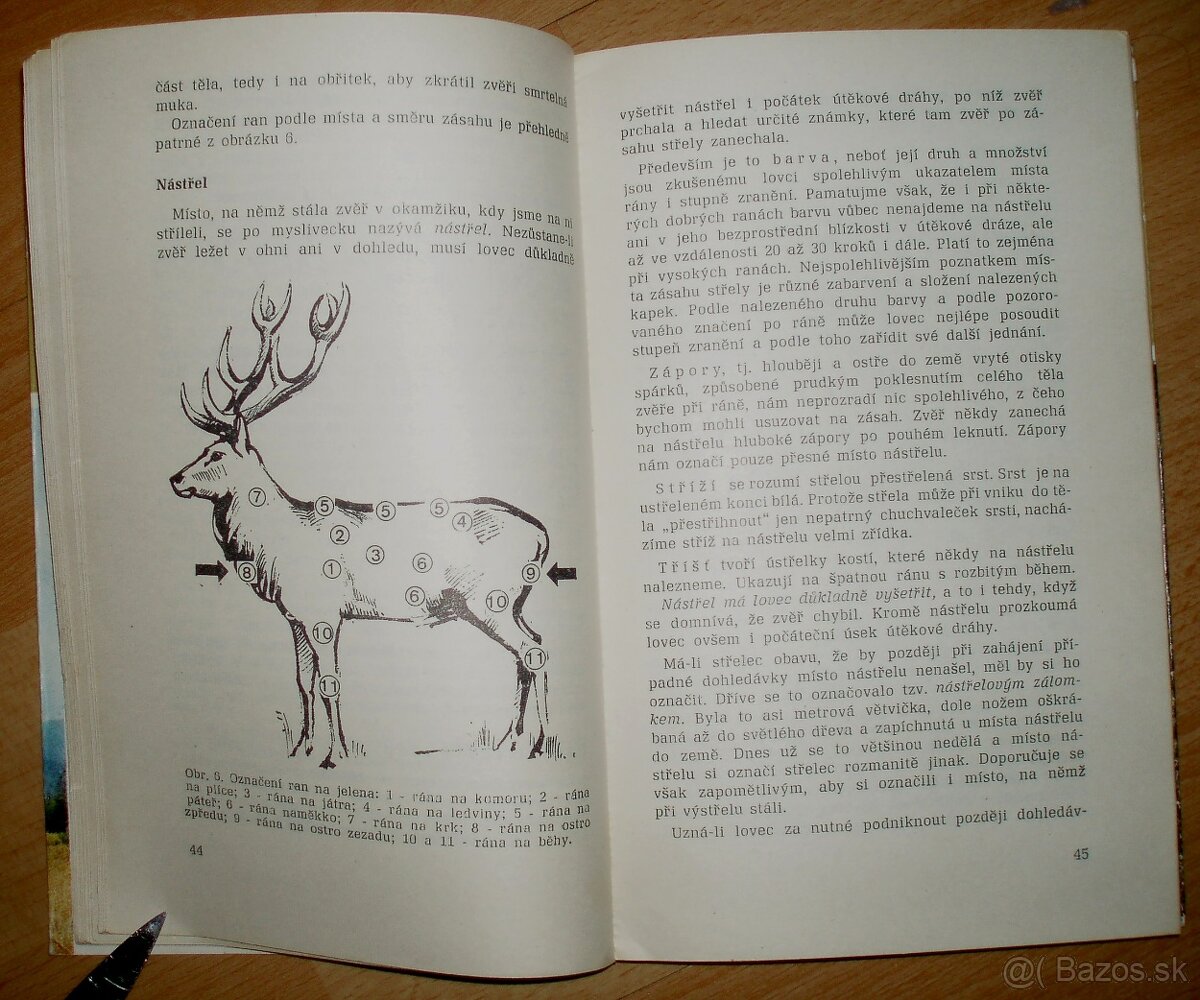 Lovecké praktikum - 6