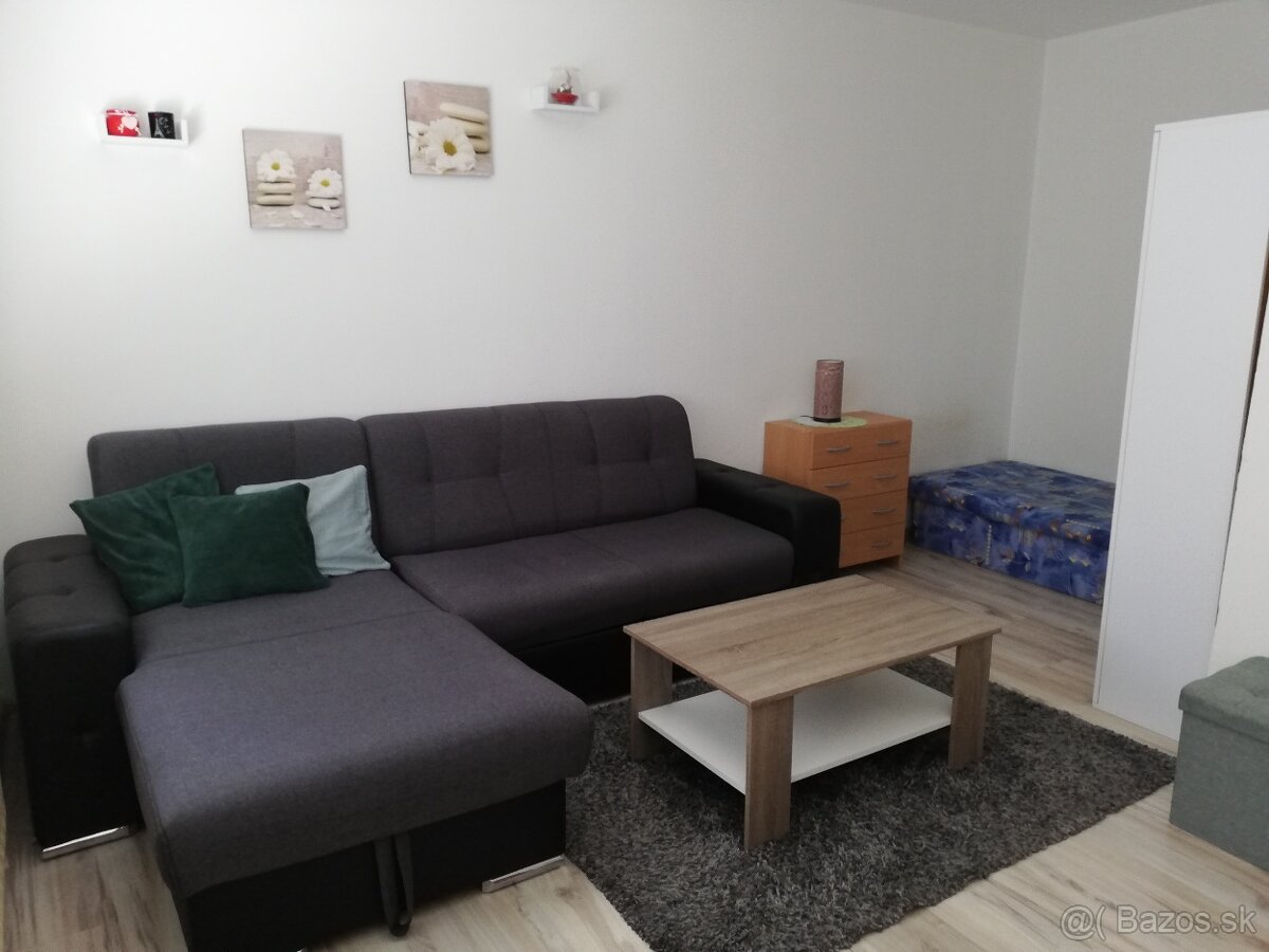 Prenájom 1 - izbového bytu - 6