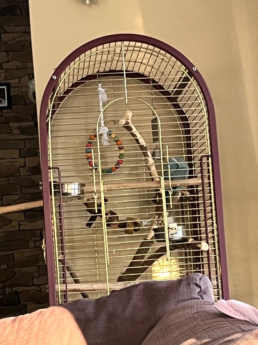 Alexander malý + klietka - 6