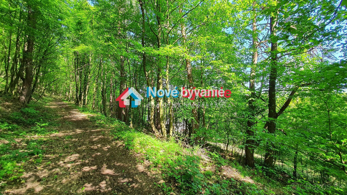 EXKLUZÍVNE. Na predaj pozemok v obci Kochanovce (N027-14-ZD - 6
