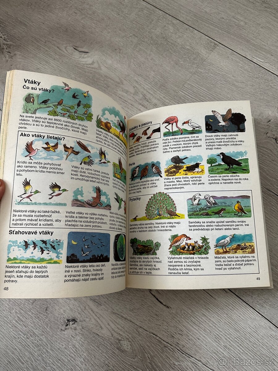 Obrázková encyklopédia - 6