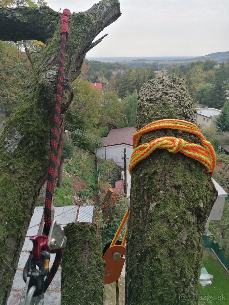 Rizikové orezávanie a výrub stromov, kosenie údržba záhrad - 6