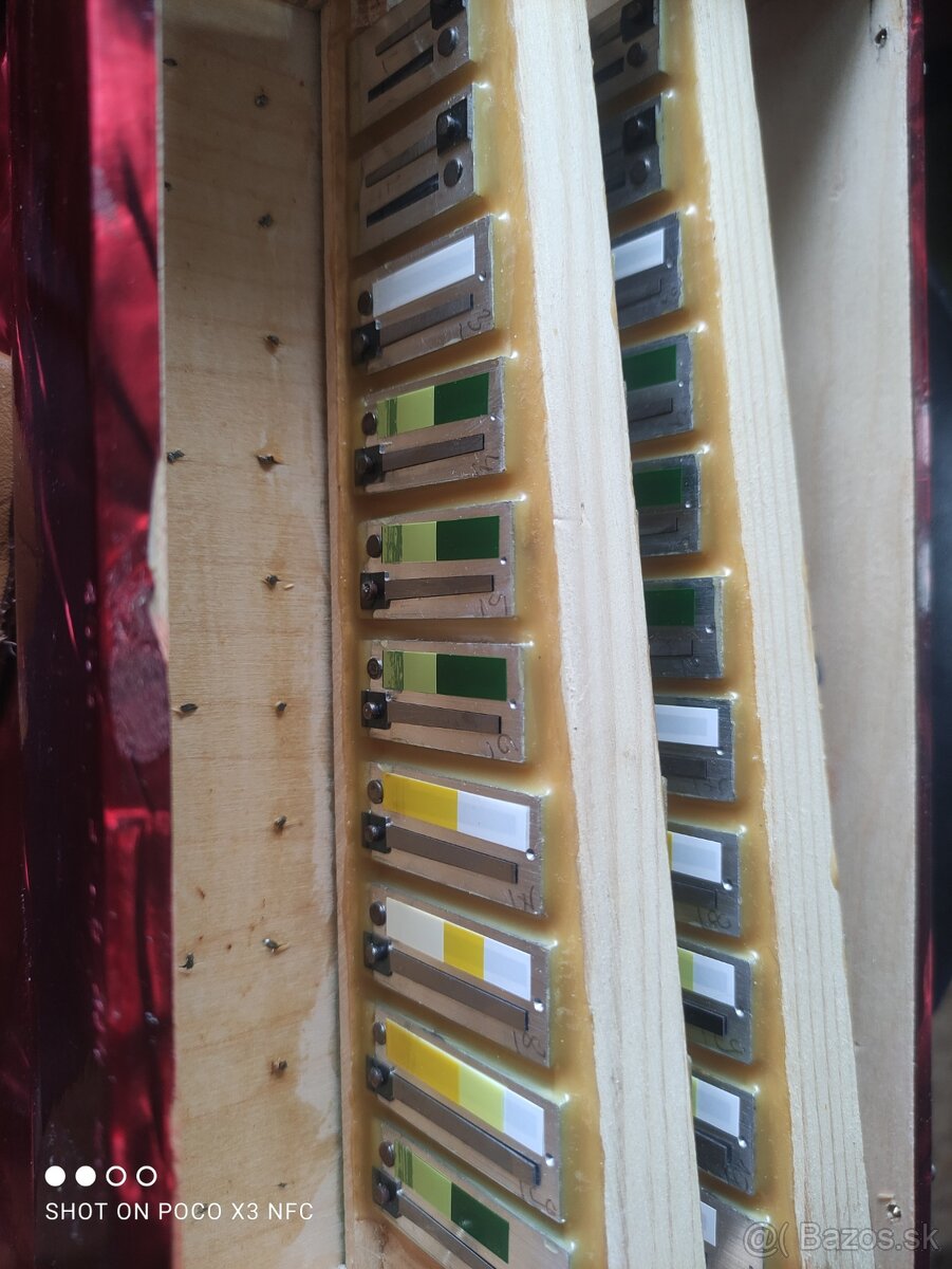 Heligonka Delicia Popular - 6