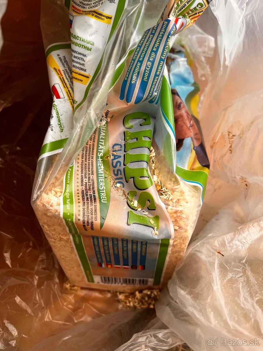 Predám Činčilu REZEROVANÉ VŠETKY - 6