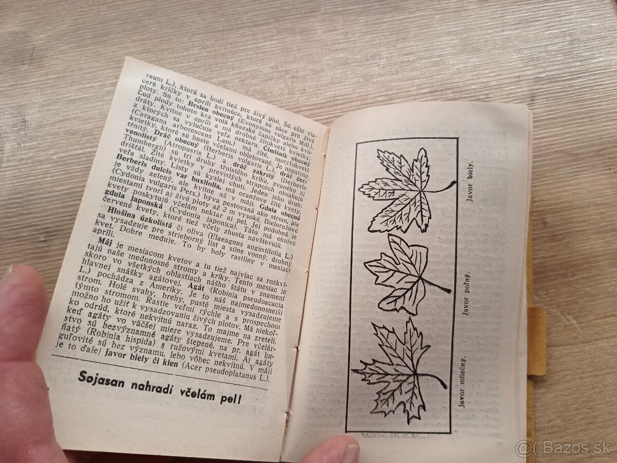 Kalendár slovenských včelárov na rok 1938 - 6