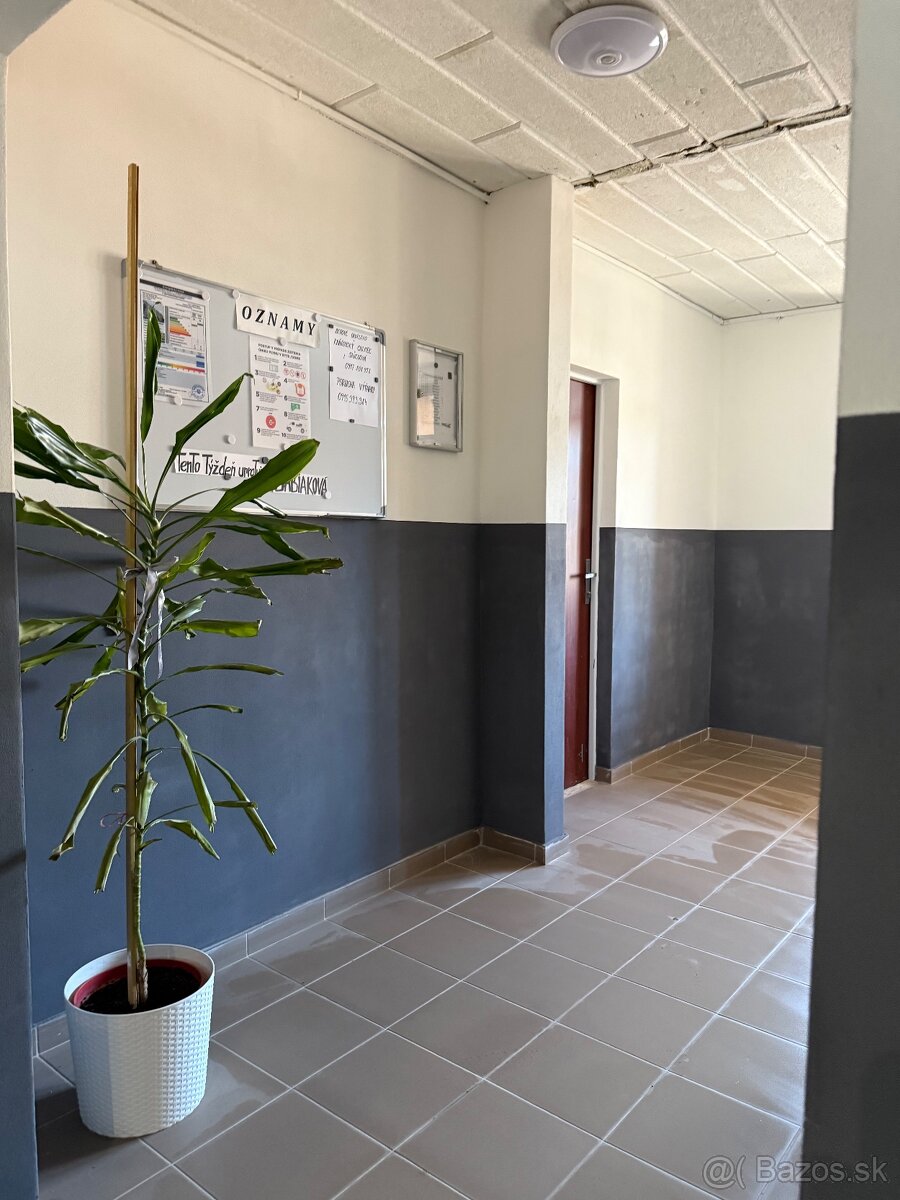 INVESTIČNÁ ponuka TOP CENA 3 izb 6pos. cena 27900e.- - 6