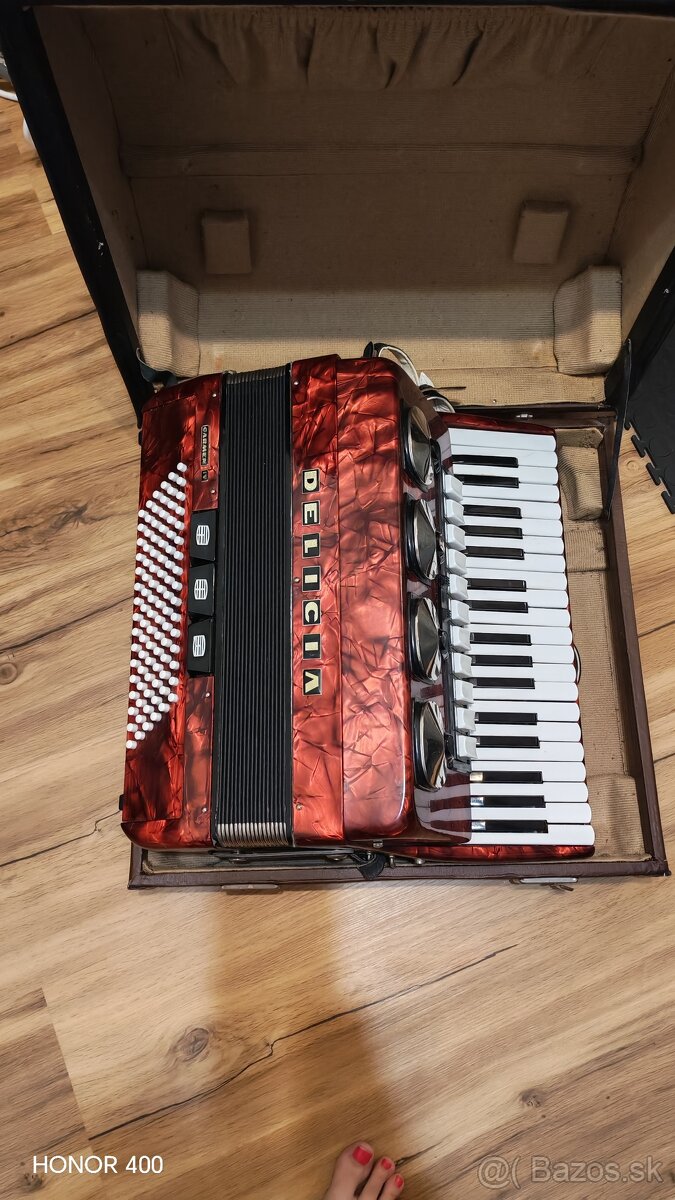 Akordeón, harmonika - 6