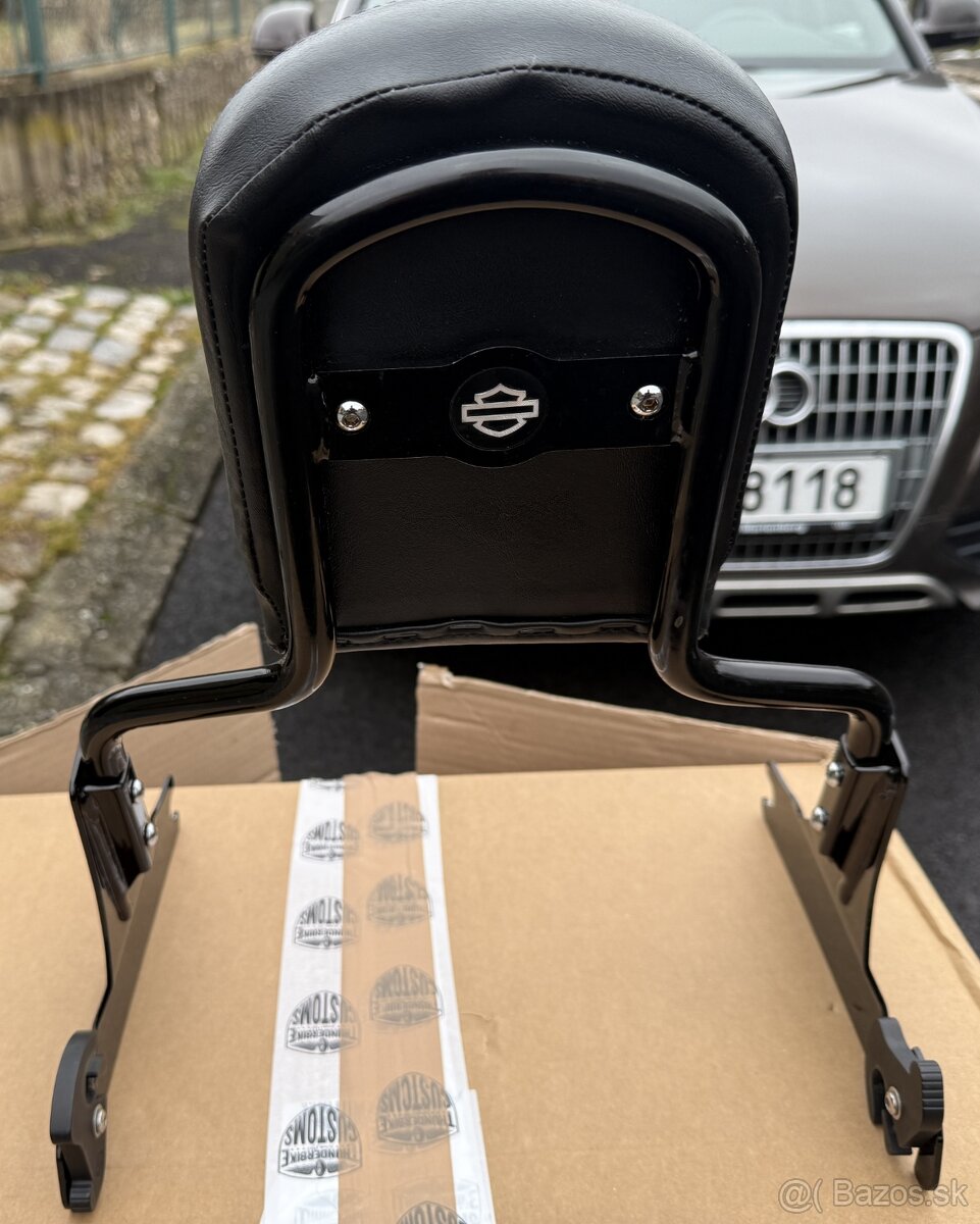 HARLEY DAVIDSON® BREAKOUT FXSB Sissybar - 6