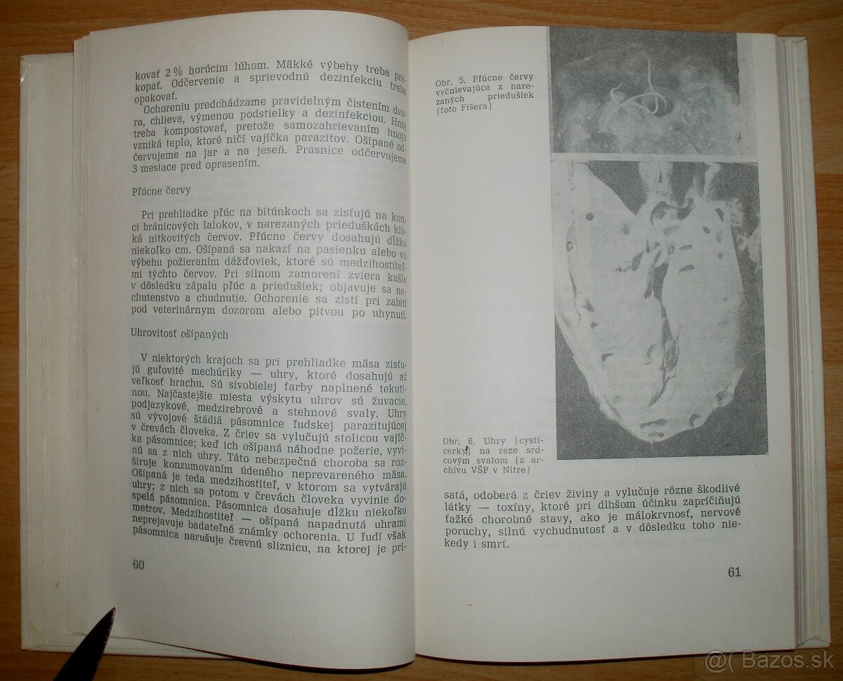 Domáca zakáľačka - 6