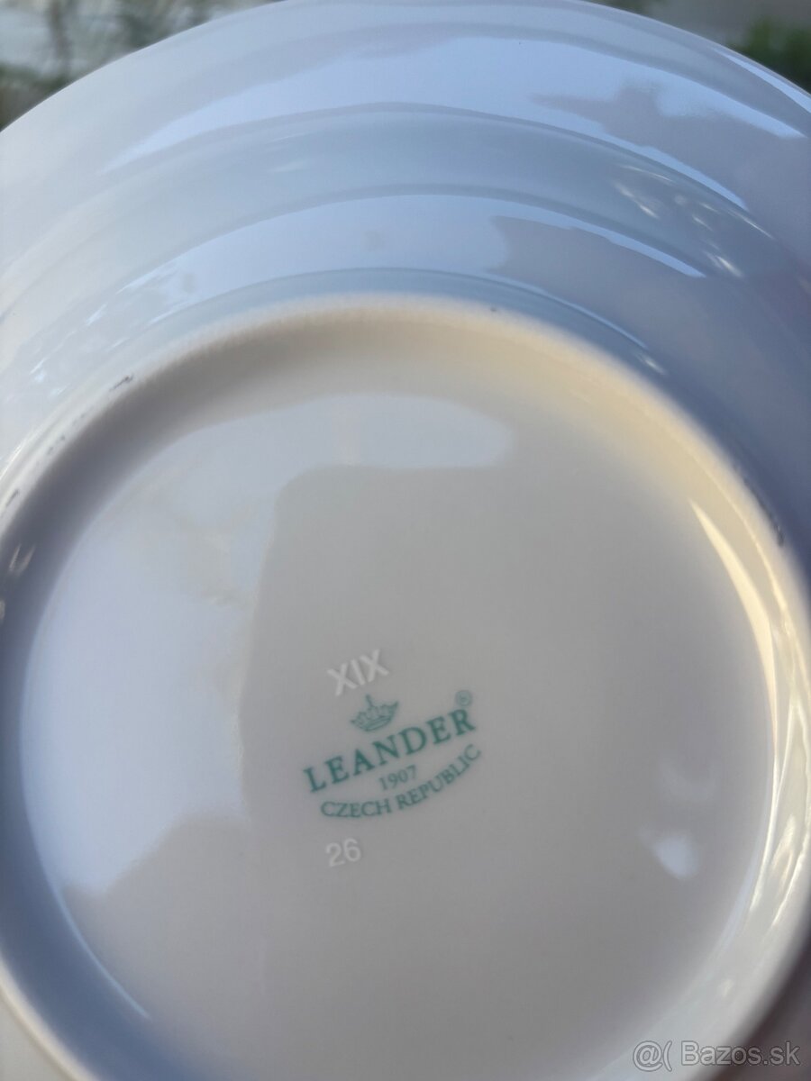 Tanierova sada fialky - 6