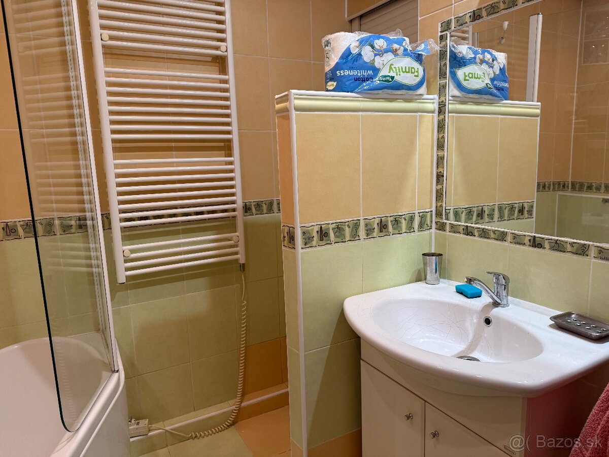 Na prenájom 1 izbový byt pri auparku - Voľný ihned - 6