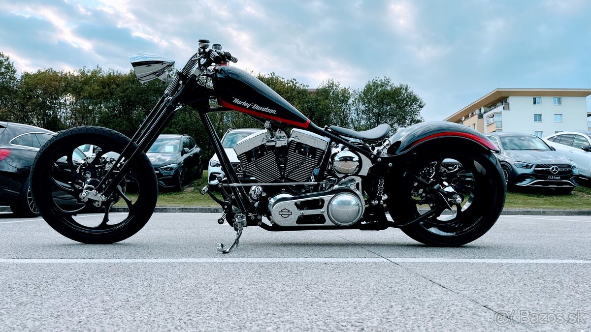 Harley Davidson Custom 300 - 6