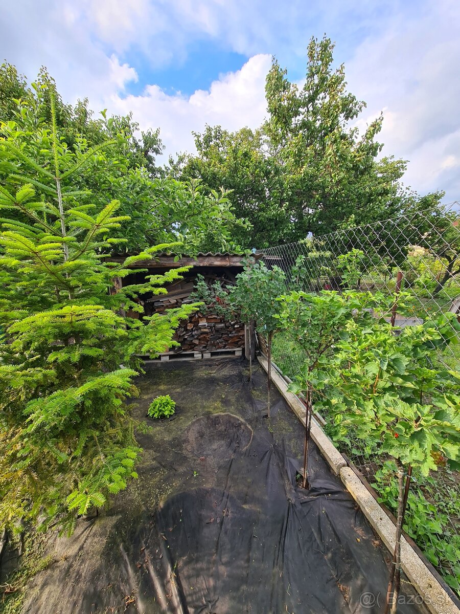 Záhrada v tichej časti Serede - 6