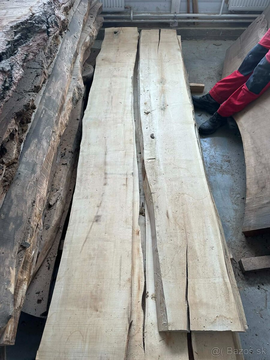 Vysušené javorové fošne, javor horský - 6