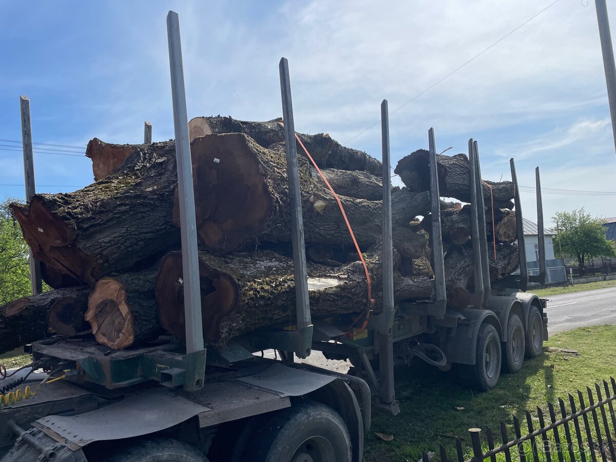 Kúpim Guľatinu kmene stromy drevo - 6