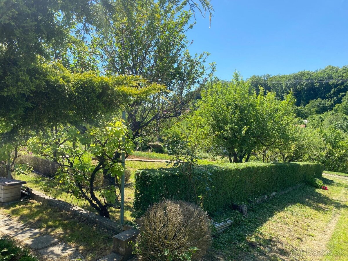 Záhrada s dreveným domčekom - 6