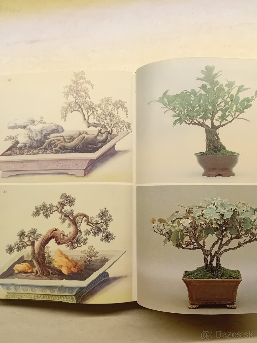 Kniha : BONSAI - 6