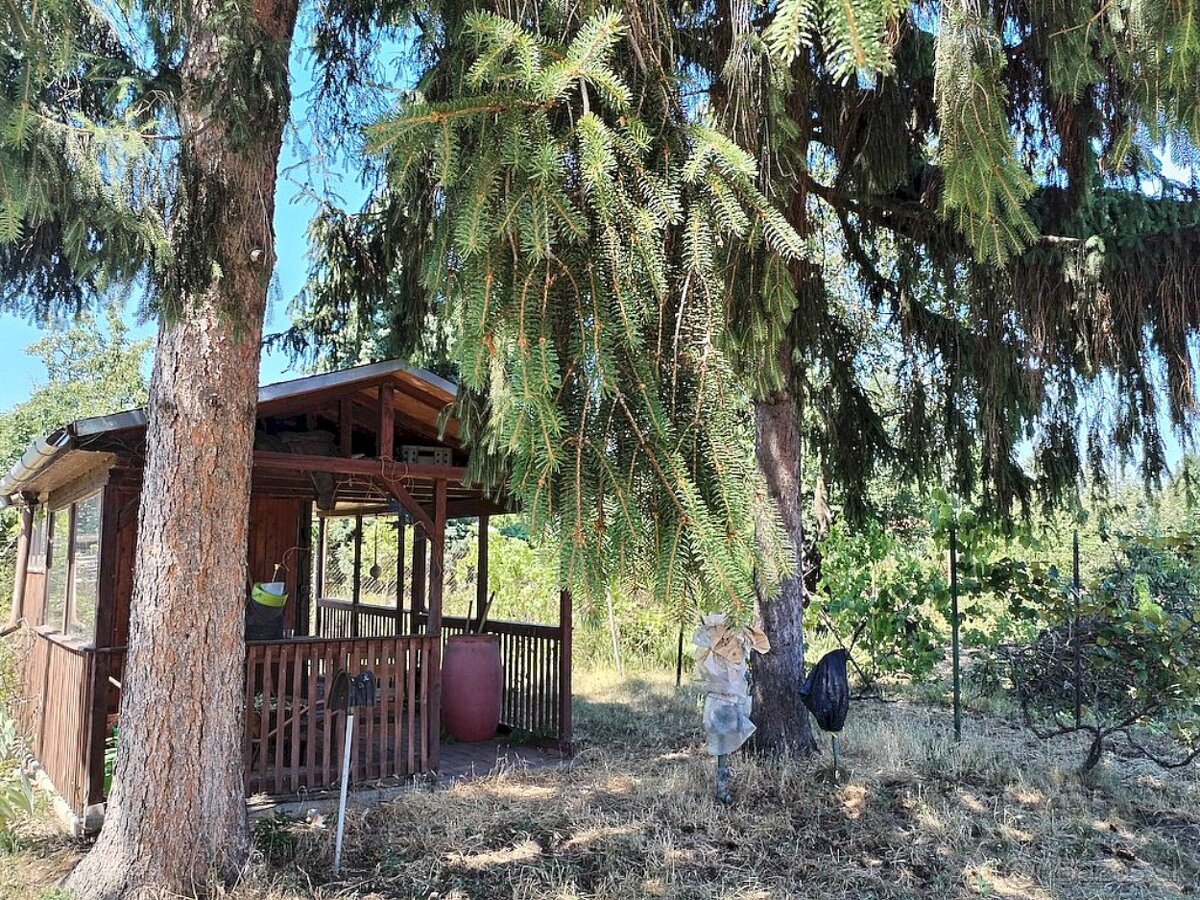 Záhrada na predaj - znížená cena - 6