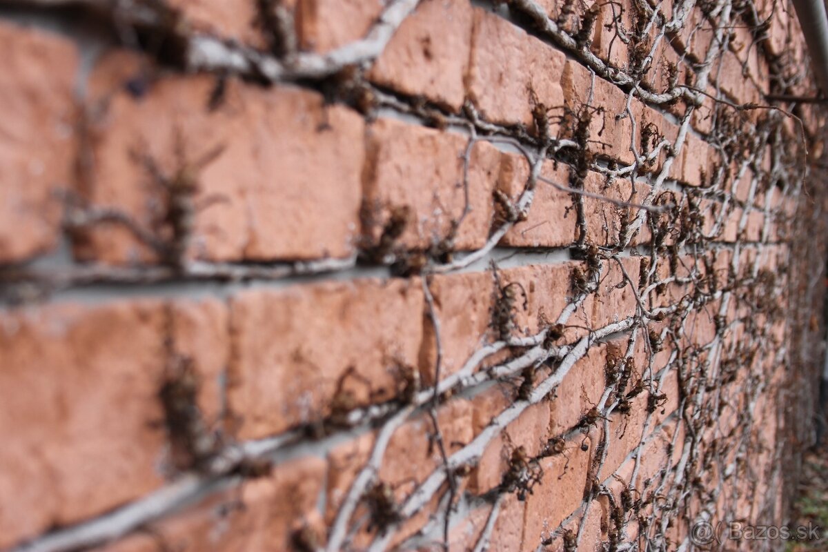 Formy na obklad - stará tehla - 6