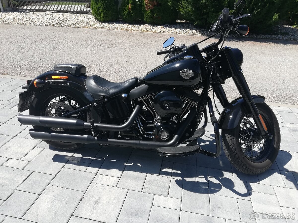 Zimná cena. Harley davidson - 6