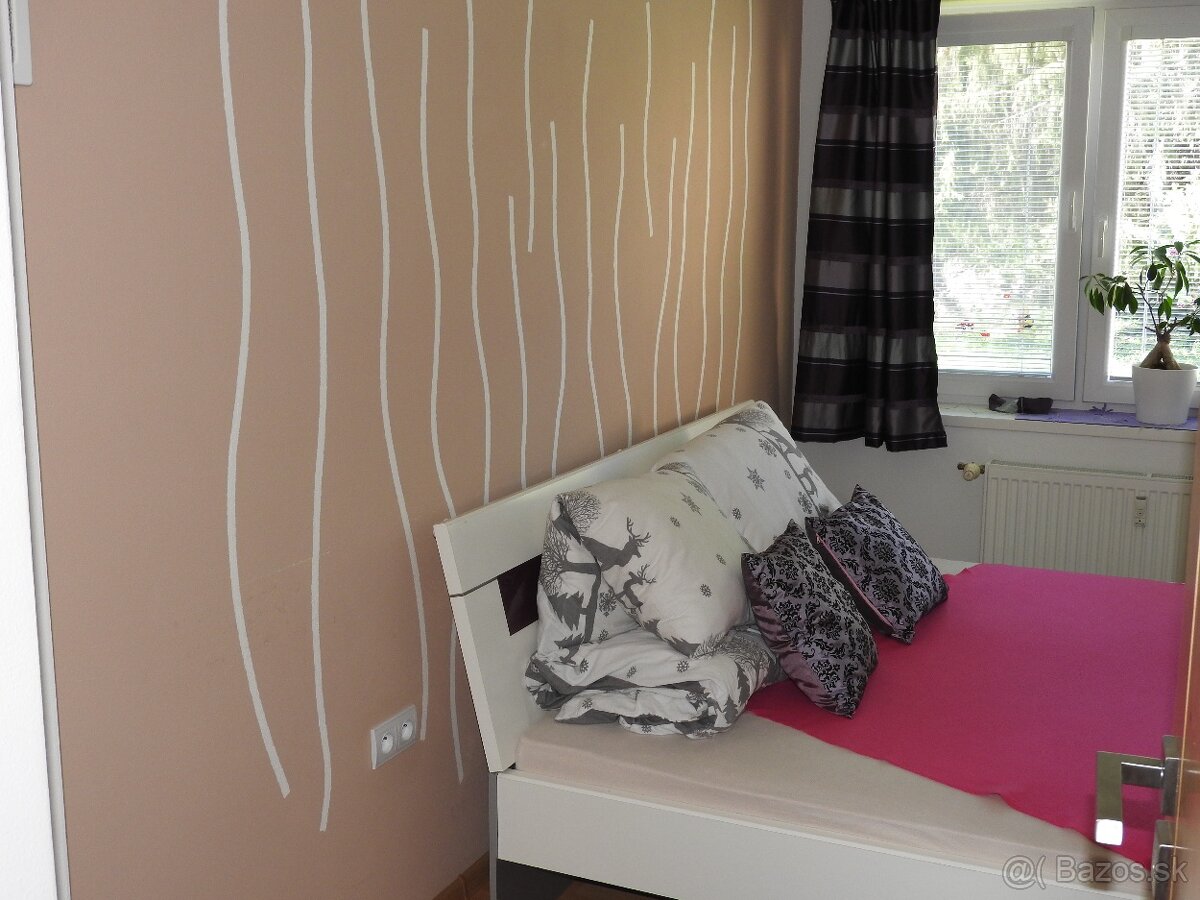 prenajom 2 izbovy byt - 6