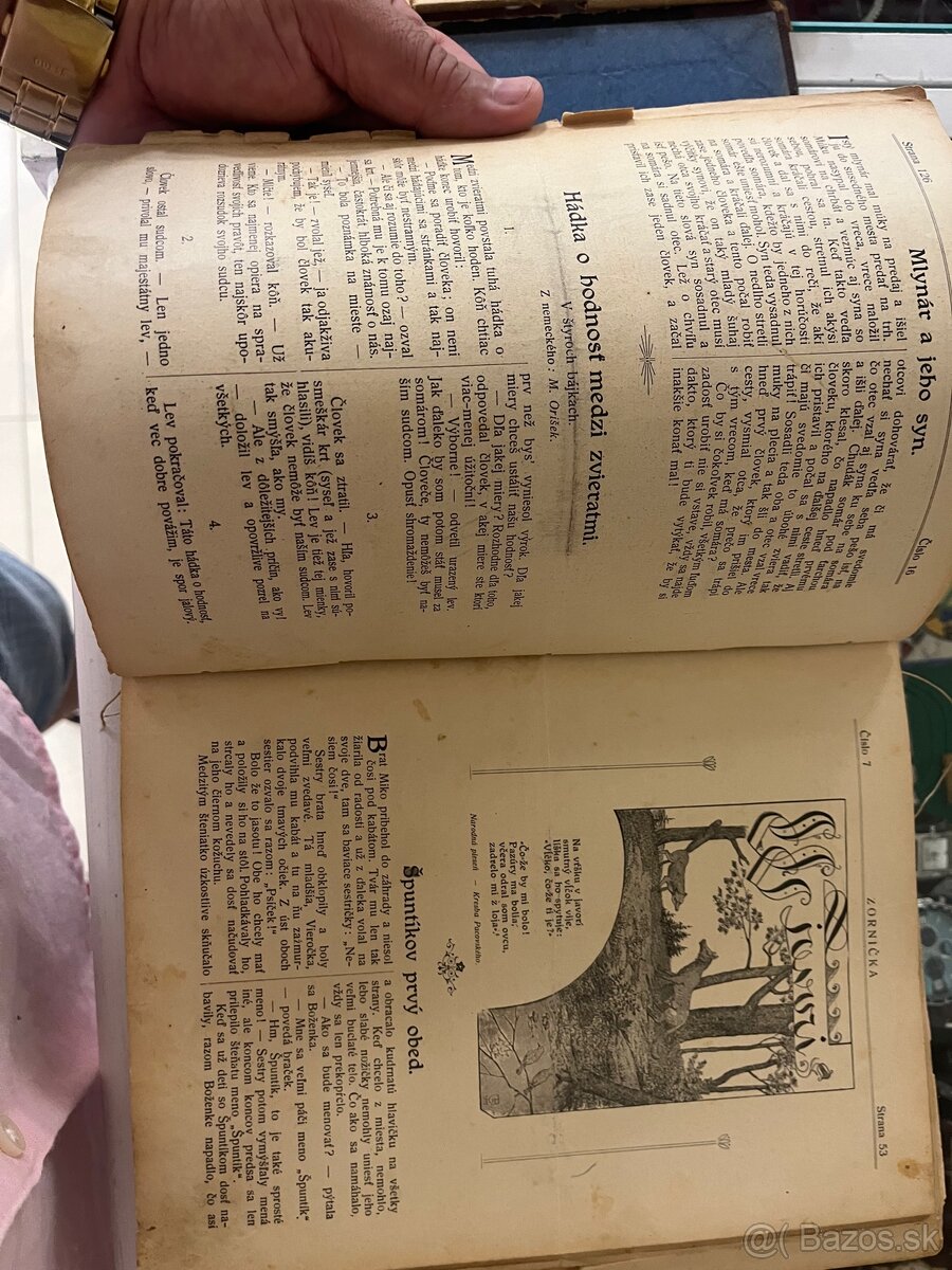 Zornička 1909,1910,1911 - 6