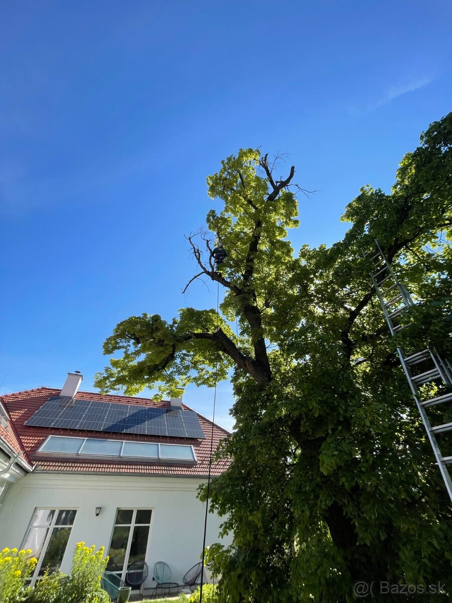 Záhradné práce - 6