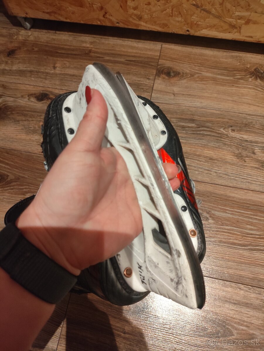 Korcule Bauer Vapor 2x - 6