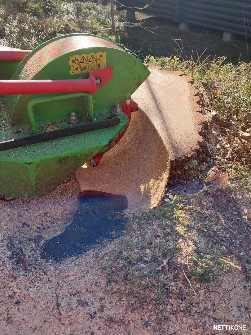 Frézovanie pňov - 6