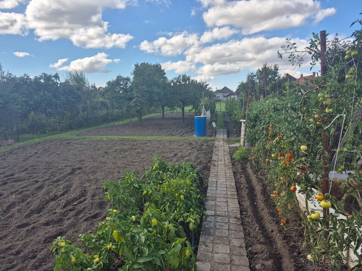 RD v obci Jelšovce - 6