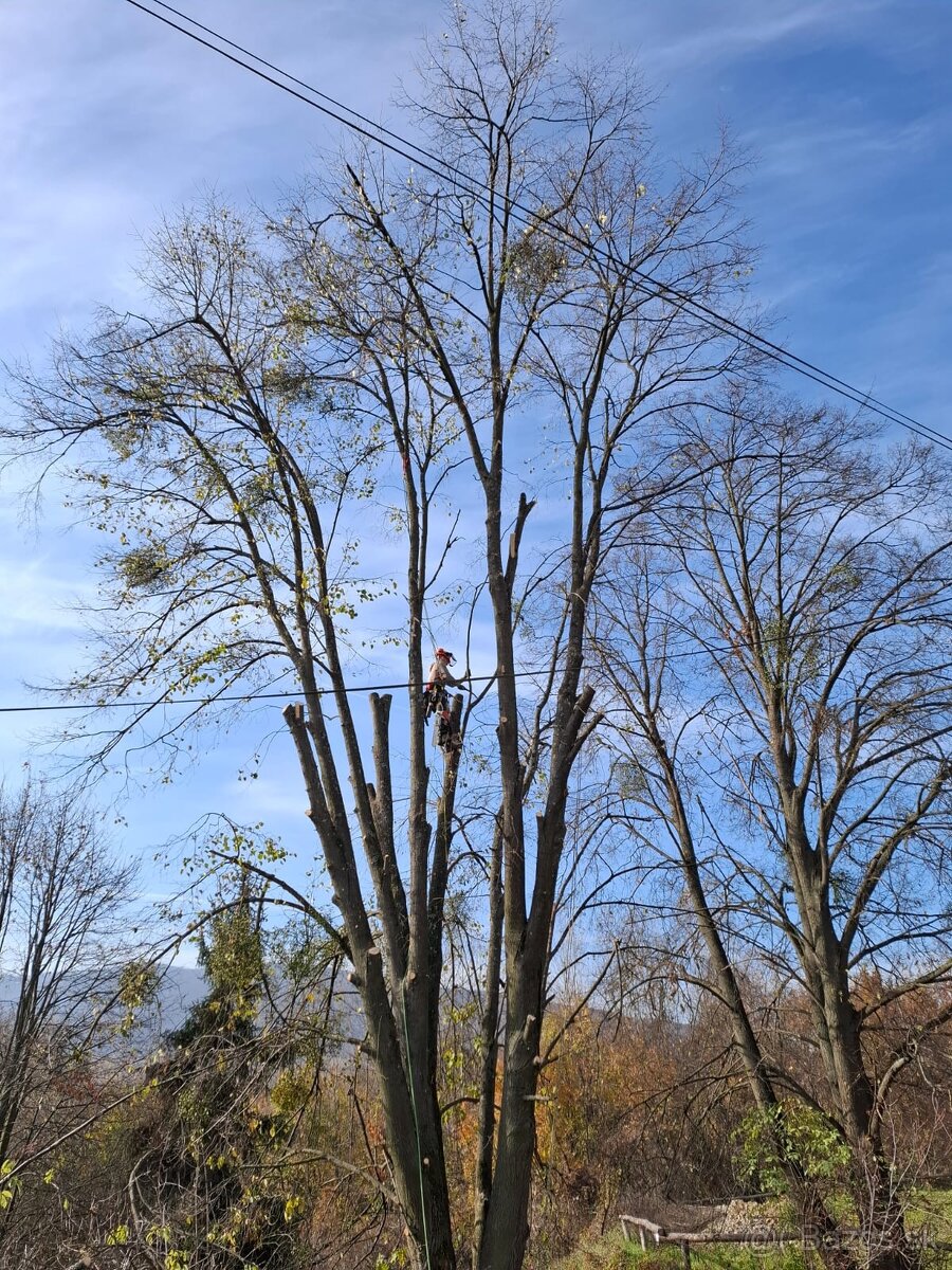 Rizikový výrub a orez stromov, kosenie a údržba pozemkov - 6