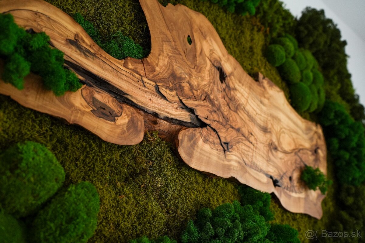 Machovy obraz s olivovym drevom - 6