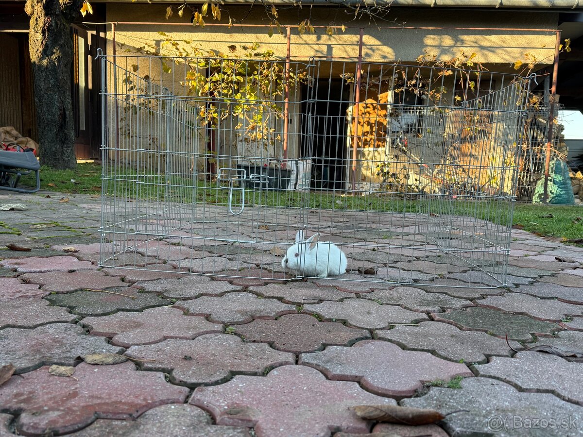 Ohrádka pre domáce zviera - 6