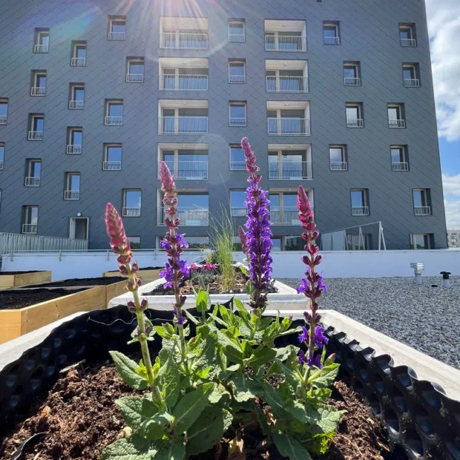 Realitná kancelária Realadr s.r.o. - 6