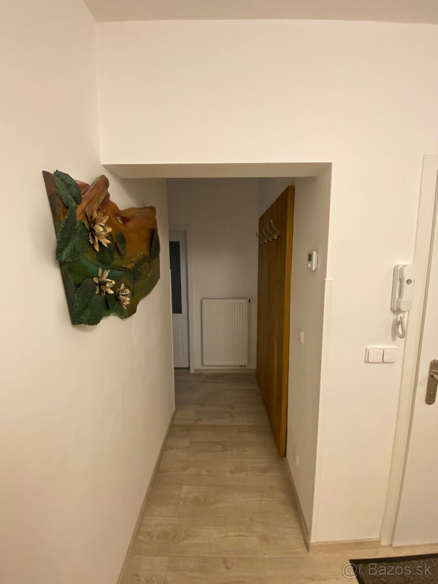 Predam nadstandard byt 3KK + technicka miestnost+ 2 pivnice - 6